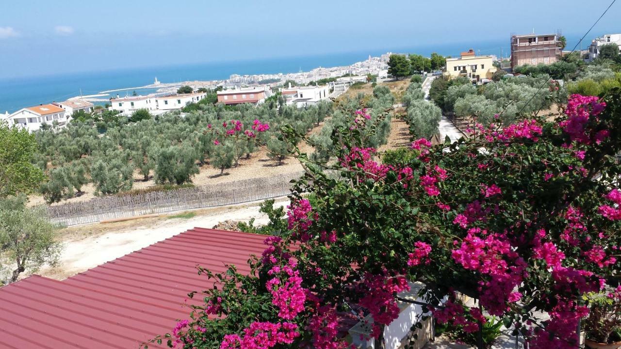 Villa Lucrezia Trilo Vieste Exterior foto